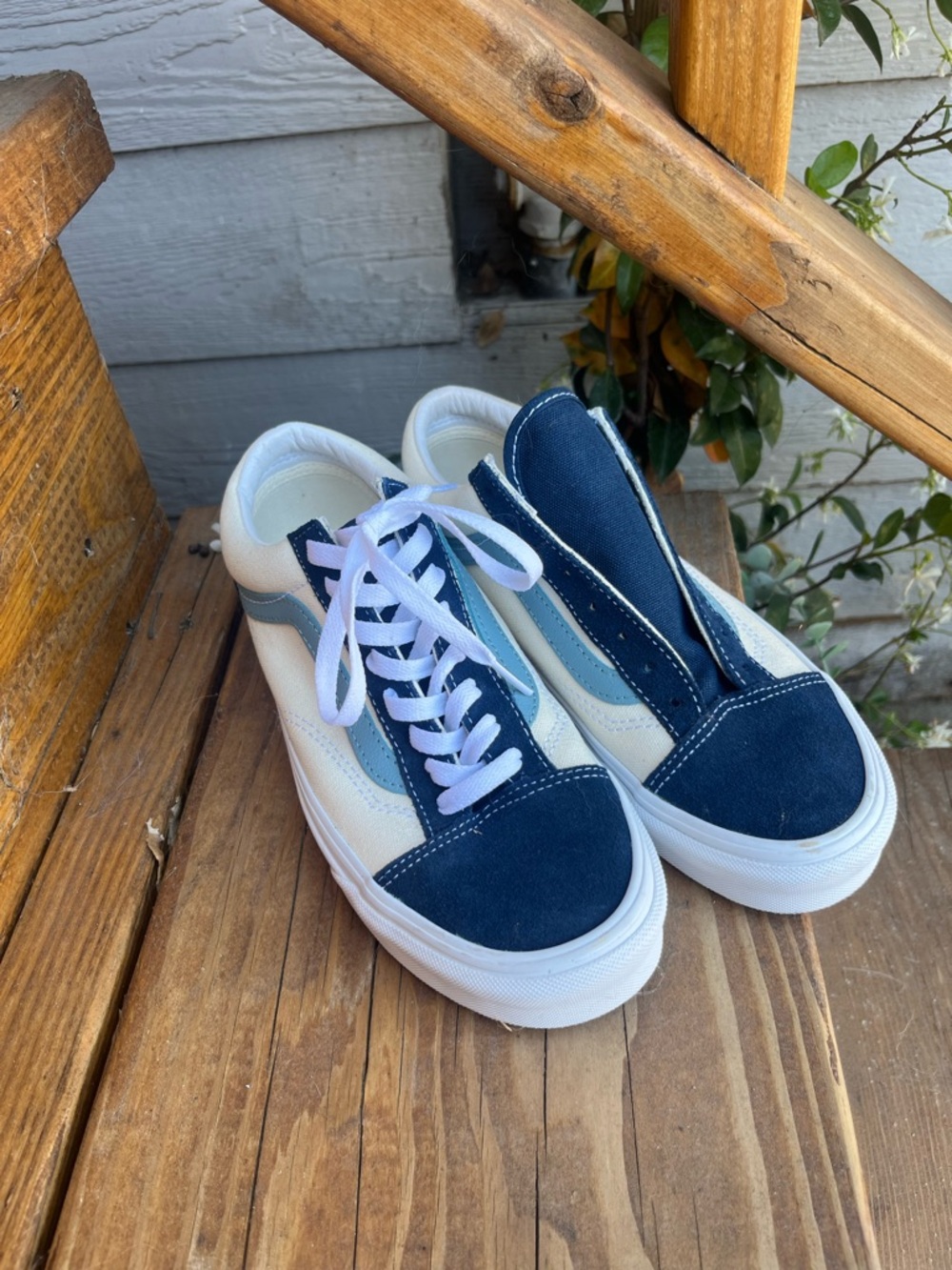 Vans Low-Top Canvas Sneakers
